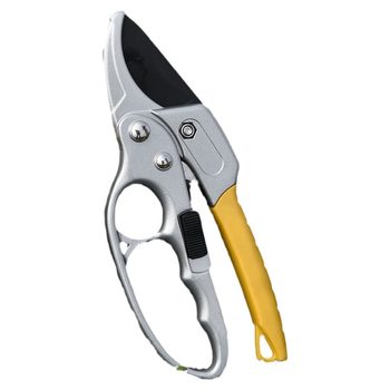 Save the fruit tree branches, scissors, segment professional gardening
