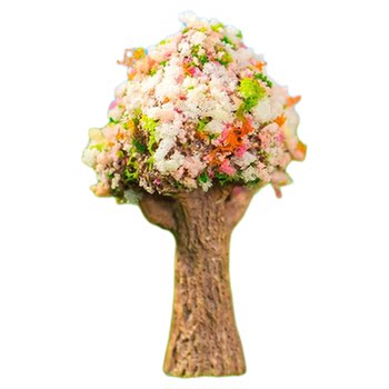 
Miniature plant mini pine bonsai welcomes guests to the pine tree hole