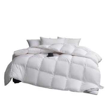 Genuine doubles thickened and warm down the same model 95 white goose mixed with core antibacterial cotton quilt
