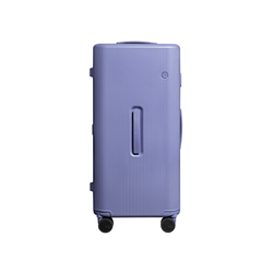Ito Pistachio Striped Trunk Luggage Trolley Suitcase