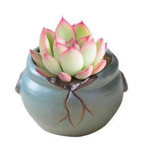 Succulent pot ceramic succulent plants rough pottery retro purple sand and purple sand household creative size Simple special offer clearance