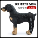 Задние ножки собаки и бедра травма перелома Фиксирование хирургического кронштейна.