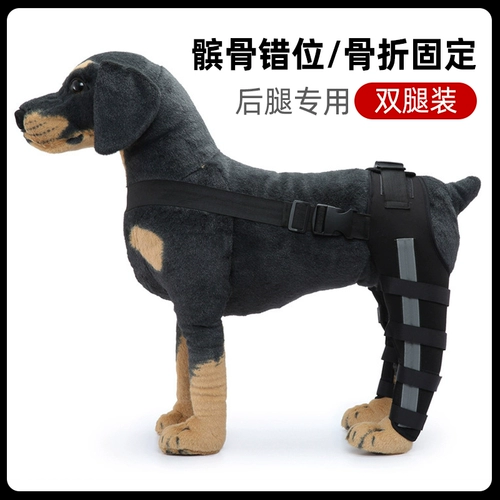 Задние ножки собаки и бедра травма перелома Фиксирование хирургического кронштейна.