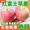 山西【红富士苹果净重4.5斤整箱】