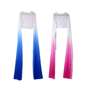 Water-sleeved top for women Jinghong dance clothes Classical dance swing sleeves practice clothes Opera Tibetan children's sleeves performance costumes

