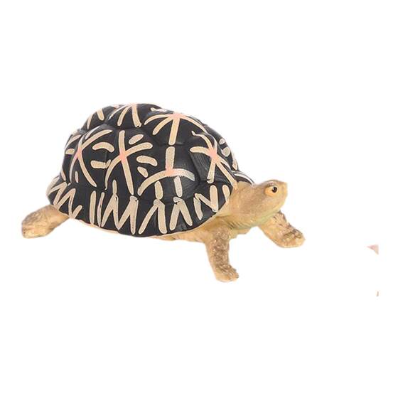 
Solid simulated marine animal model mini turtle tortoise turtle turtle children cognitive potted ornaments micro landscape