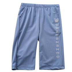 Boys Summer Quick-drying Shorts 2023 New Children's Sports Shorts Mesh Breathable Thin Section Chase Beach Pants
