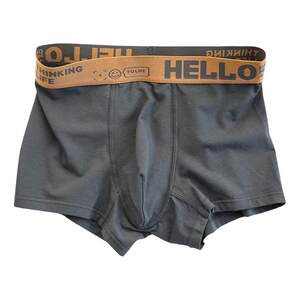 Men's underwear Men's Antibacterial Internal Flame Rapid Loose Large size Youth Trends Middle waist pants flat angle short pants head