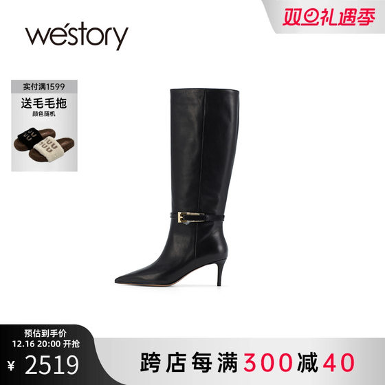 westory2024秋冬新款时尚欧美尖头真皮细跟高筒时装长靴女84021