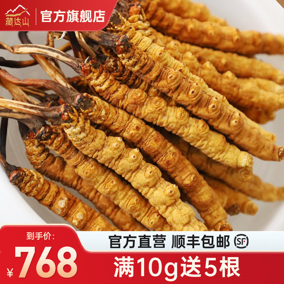 Zangdashan Cordyceps sinensis official flagship store authentic Tibetan Nagqu first-phase gift box 10g 30 pieces