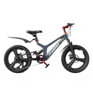 
Phoenix Magnesium Alloy Children's Bicycle Boys and Girls Medium-Grand Children 6-11 Years Old Teenagers 18-22 Inch Mountain Bicycle