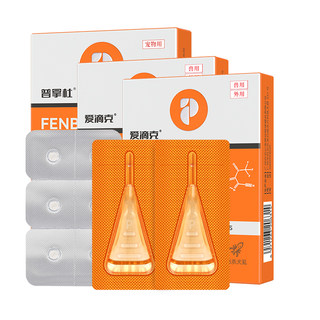 Pu Ante cat dog, dogs, and outside the body
