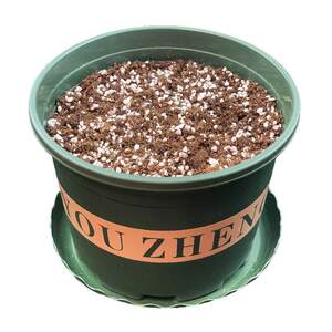 
Flower pot with nutrient soil with soil resin gallon pot and soil plastic ball green plants rose succulents