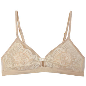 Niche French laceless steel ring rabbit ears triangular cup thin big breasts showing little girls' chest sexy hollow underwear
