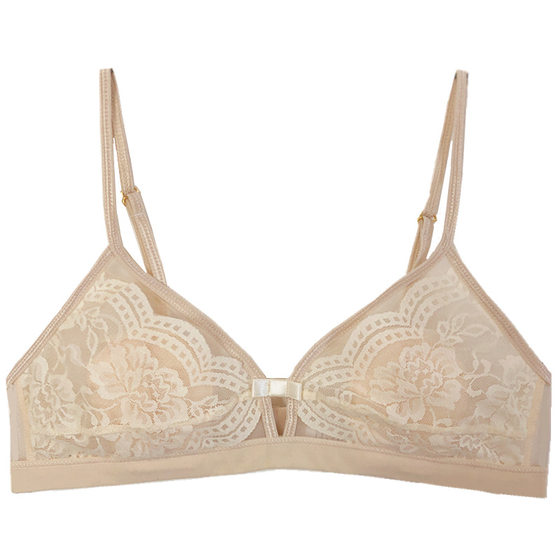 Niche French laceless steel ring rabbit ears triangular cup thin big breasts showing little girls' chest sexy hollow underwear
