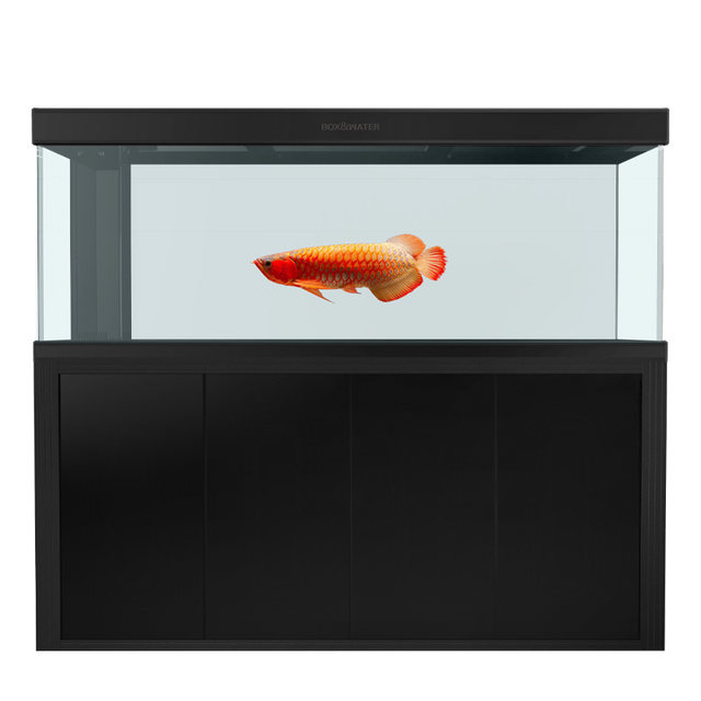 Middle large -scale filter ultra -white fish tank exemption, water ...