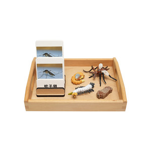 
Montessori language area teaching aids three-segment card model corresponding to 3-6 years old teaching supplies animal growth cycle cognition