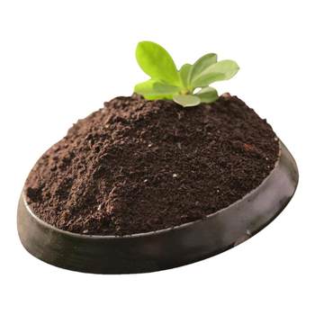 General nutritional soil vegetable planting flower planting soil flower planting soil