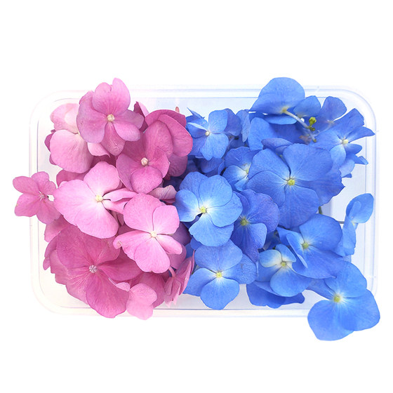 
Fresh hydrangea pink blue 5 boxes free shipping edible flowers hotel western food plate cake decoration