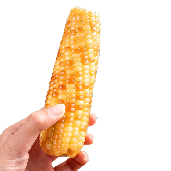 10*0.5kg, Yunnan Xishuang Version Na Xiang Nu Xiaoya Fresh Fresh Flower Glutinous Corn Basket Vacuum Breakfast Breakfast Specialty