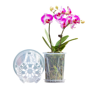
Phalaenopsis flower pot for special flower pot transparent plastic thickened orchid resin breathable and anti-root roots household balcony pot plant large size