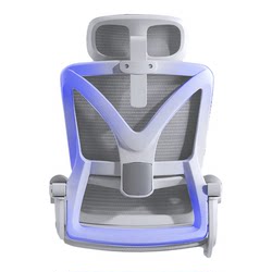 SF Home-170 Reclining Ergonomic Chair