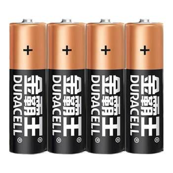 Polaroid Fuji V camera battery Duracell