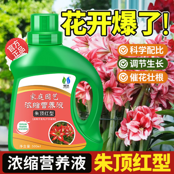 朱顶红专用营养液家用农用室内外花卉绿植植物通用型肥料治黄叶