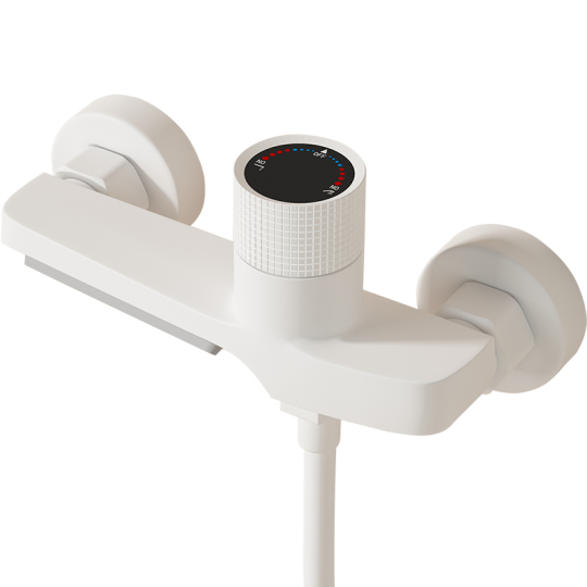 Inbouw douche thermostaat | , rvs kranen