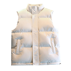 Nasa Down Cotton Vest Men's 2023 Spring And Autumn New Korean Style Loose Cotton Waistcoat Stand-up Collar Cotton Vest Jacket