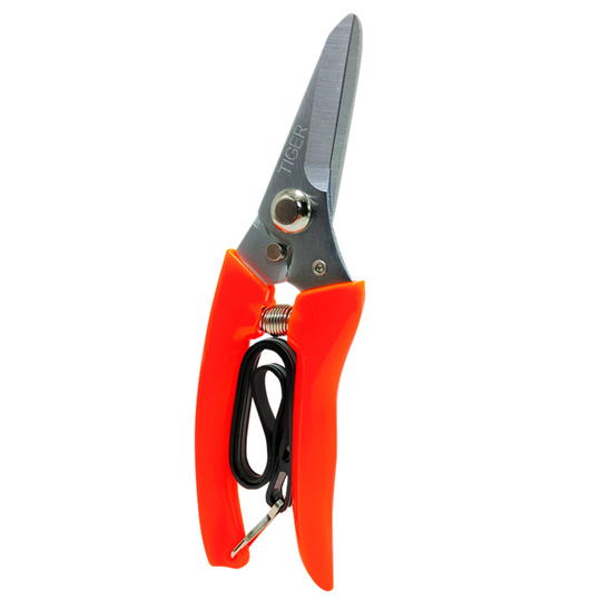 Skype taxalluslari bilan jinsiy aloqa profillari Onlayn porno kichik bir sikni soradi