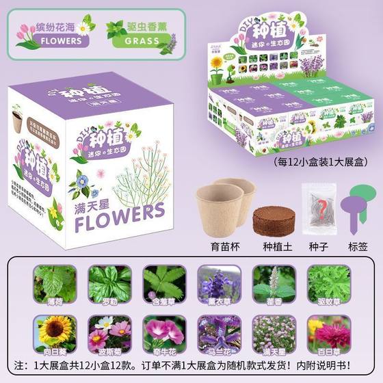 迷你种植盲盒办公桌创意趣味种盆栽花卉盲盒微景学生观察植物生长