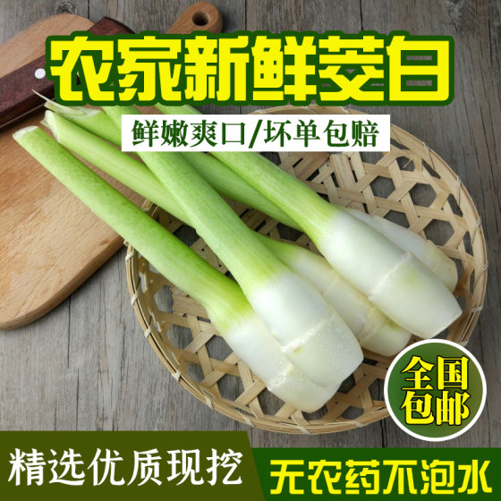 现摘农家新鲜蔬菜茭白五斤装包邮菰时令茭儿菜营养食谱高笋5斤