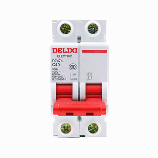 Delixi DZ47S Circuit Breaker 2P 16A/32A/63A/100A Electrical Air Switch