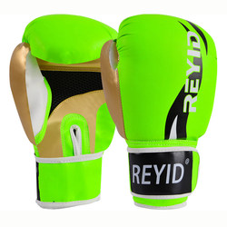 Professional Sanda Boxing Gloves REYID