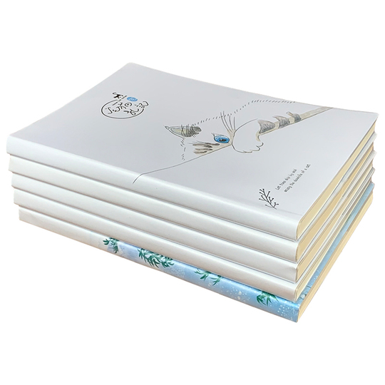 A5 Notebook - Daily Diary & Notepad for Students