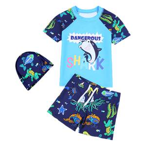 Children's swimsuits, boys split, medium-sized, big children's baby quick-drying boys swimsuit 2025 new swimming trunk swimsuit set