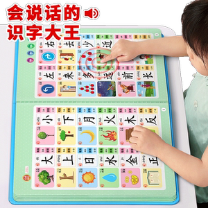 Children's Literacy King 3000 Word Dot Reader Character Recognition Card Early Education Voice Book Kindergarten Baby Voice Enlightenment