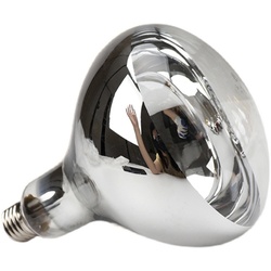 Dexing Staré Značkové Koupelnové Topné Těleso Topná žárovka Ochrana Očí Proti Výbuchu 220v275w Zlatá Koupelnová Topná Lampa