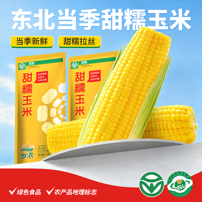 岁浓东北绿色食品黄糯甜玉米真空
