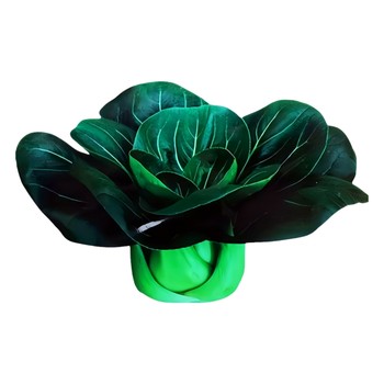 Authentic original packaged Suzhou green vegetable seed bags are packaged and matched