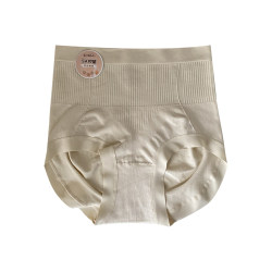Blue Peninsula High Waist Briefs Women's Modal Triangle