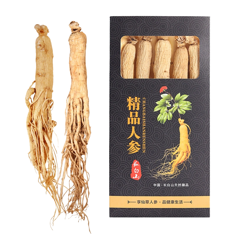 中国東北】高麗人参 山参 長白山 天然人参 天然物 極品神草 長白人参 - 野菜