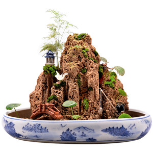 
Water absorbing stone Natural raw stone Bonsai fish pond fish tank real stone decoration landscaping ornaments plant water stone rockery stone