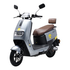 Golden Arrow Electric Vehicle Triumph Flagship Double Disc Adult Battery Vehicle High Power Long Range Takeaway Electric Motorcycle