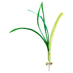 
Dogtail grass teasing cat stick long pole bite toy with bell self-satisfaction tool kitten teasing cat toy