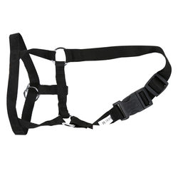 Training Medium and Large Dogs Explosion-Proof Pet Waste Dogs