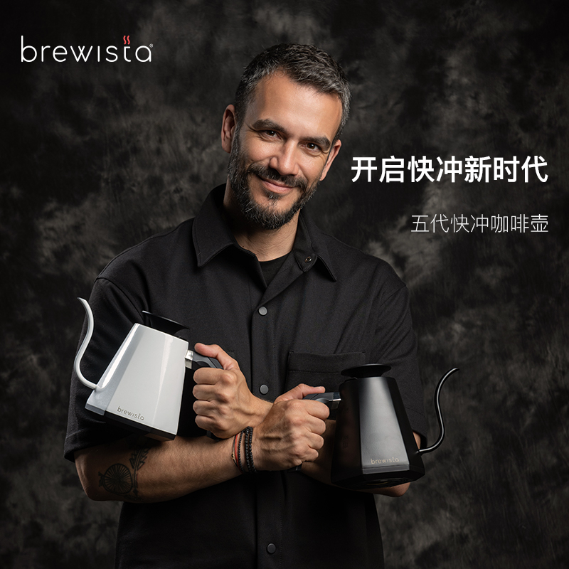 BREWISTA 五代壶手冲壶智能温控家用快冲咖啡壶不锈钢细长嘴壶0.8L