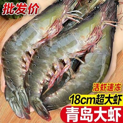 2026年2月1日更新【万能白菜价】的图片 第10张