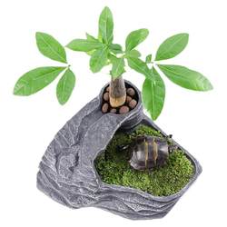 Turtle Terrace Landscaping Turtle Terrace Resting Deep Water Turtle Floating Island